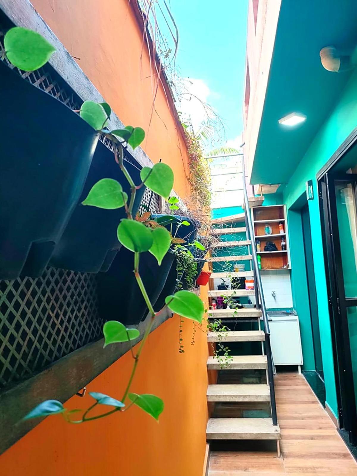 Casa 373 - Hospedaria Vila Mariana - Valores Acessiveis São Paulo Exterior photo